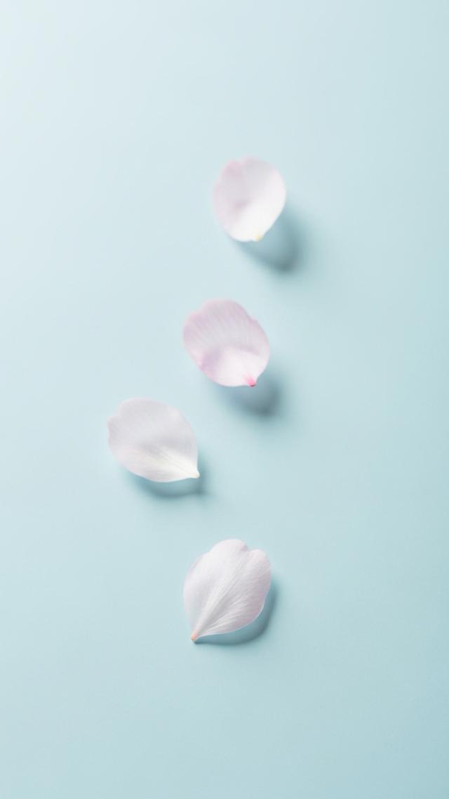 Petals