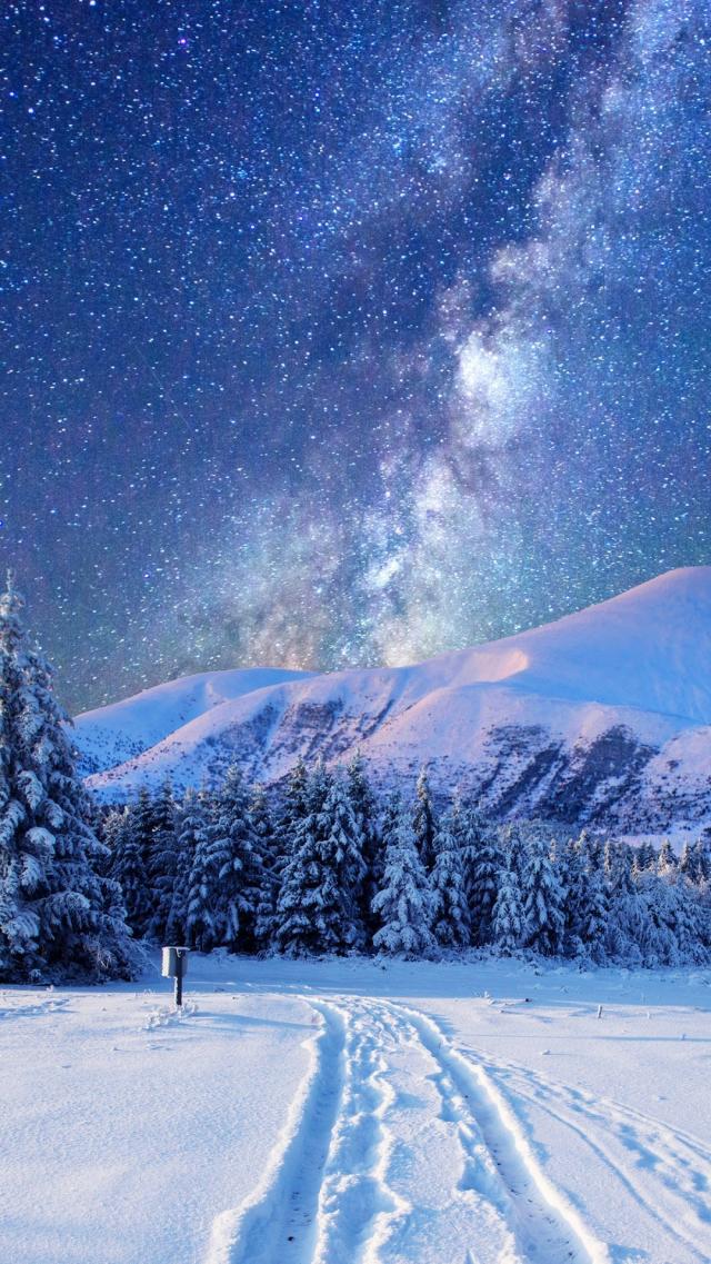 Starry Sky Over the Snowy Plain