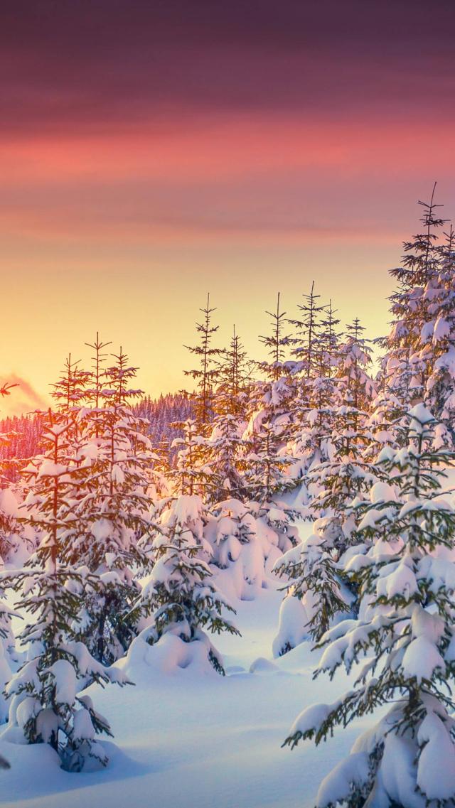 Sunset Over the Snowy Mountain