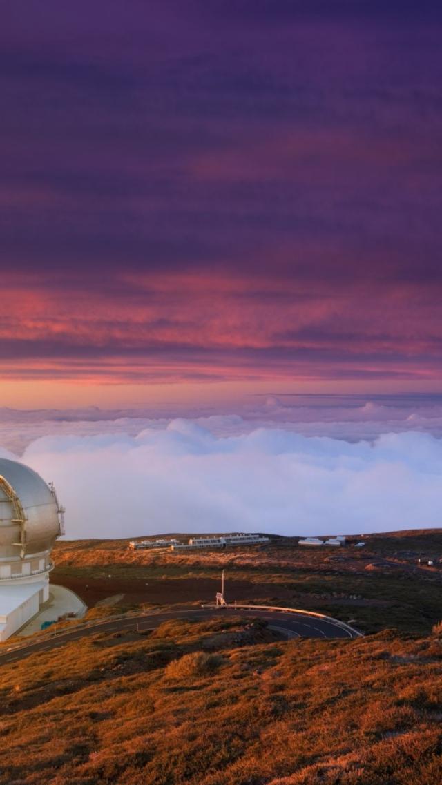 Bingwallpaper(67957)