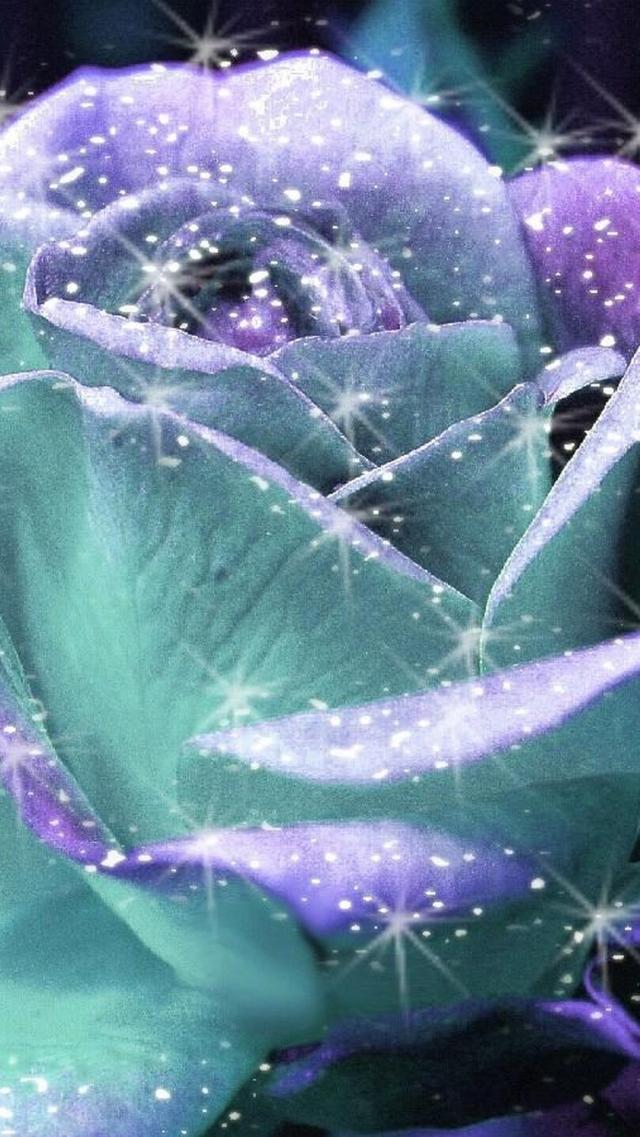 闪耀玫瑰 可爱闪亮壁纸