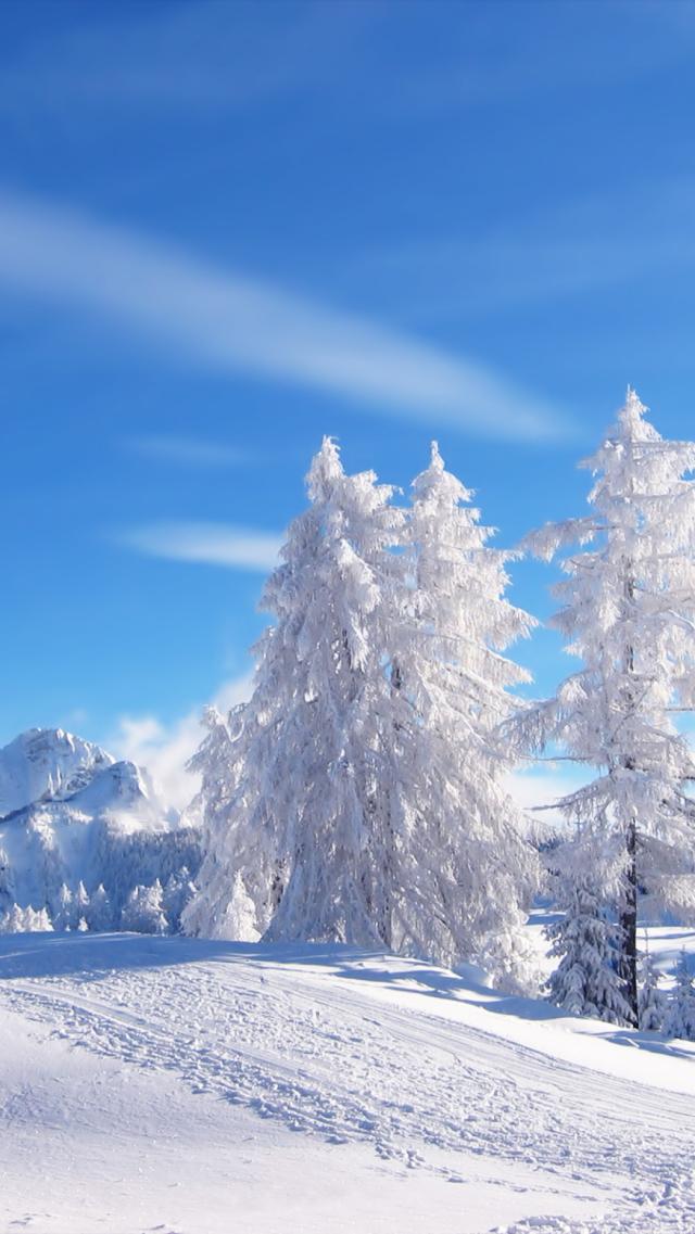 WinterS4Wallpaper