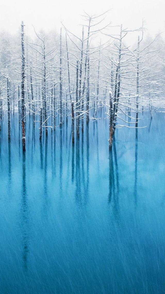 WinterTreesLakeiPhone6sWallpaper
