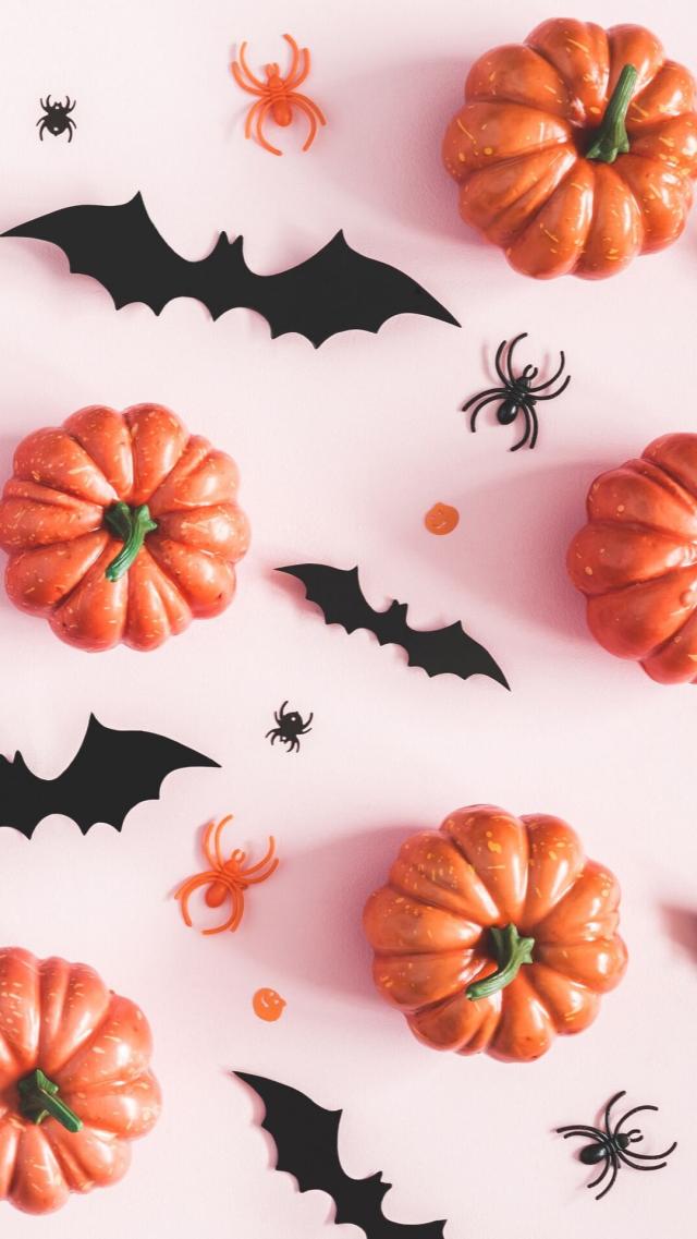 南瓜与蝙蝠  万圣节 高清壁纸