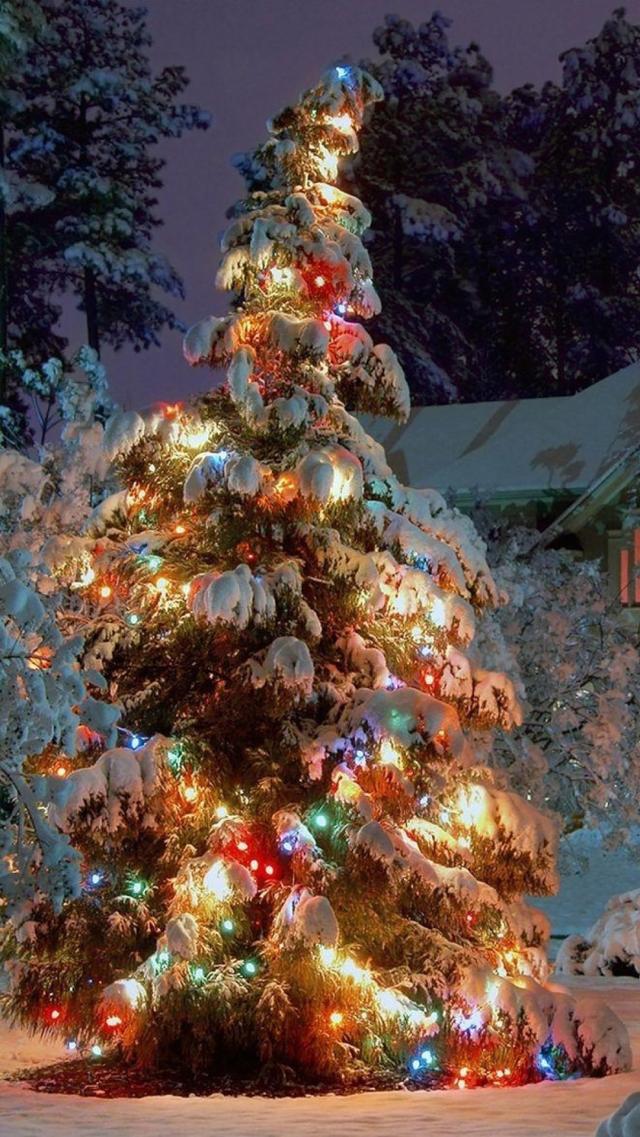 Colorful Lights on Christmas Tree