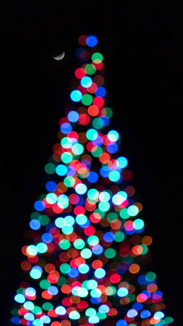 ChristmasTree(withLightDecorations)