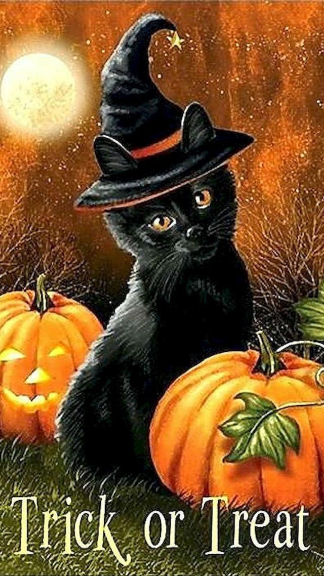 Cats Halloween