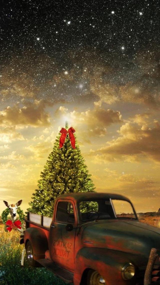 Starry Sky and Christmas Tree