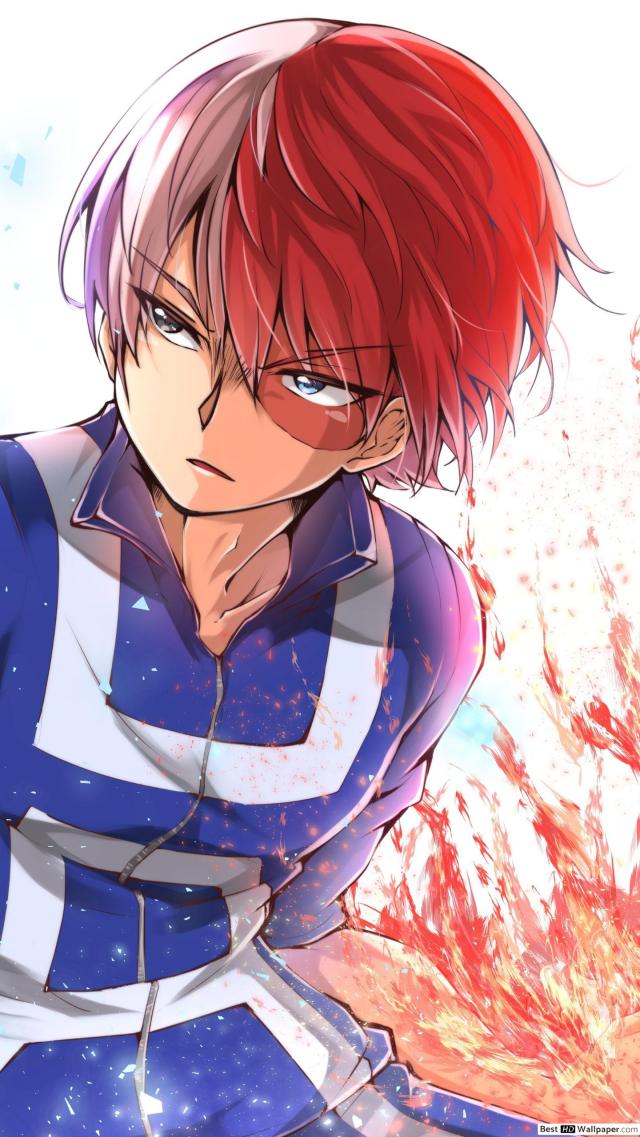 Todoroki Shoto "My Hero Academia"