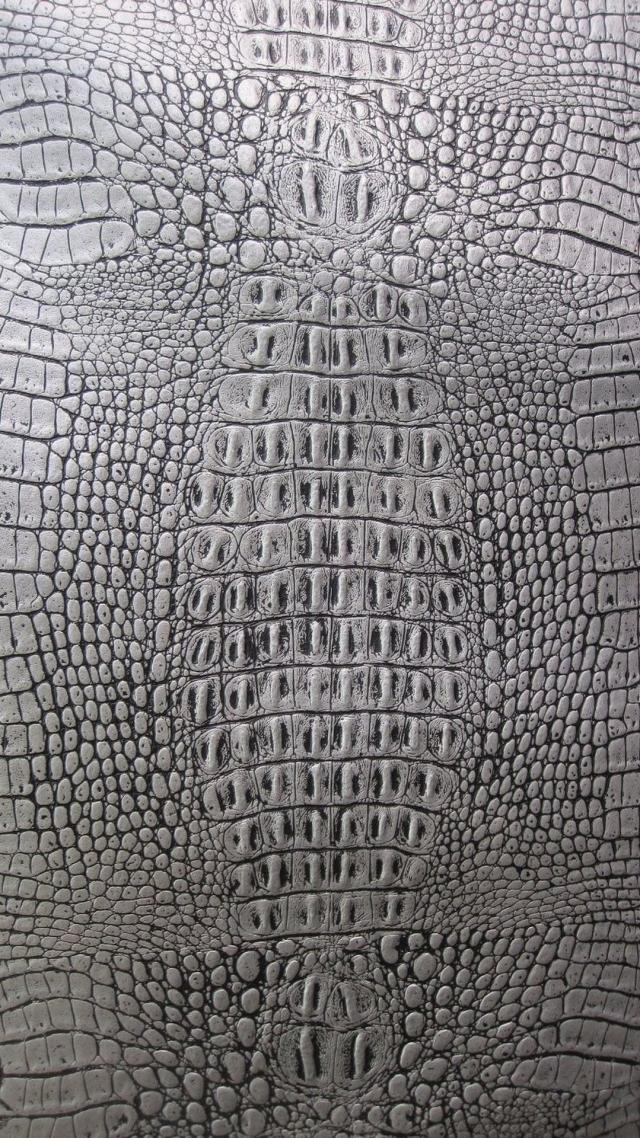 Crocodile Skin