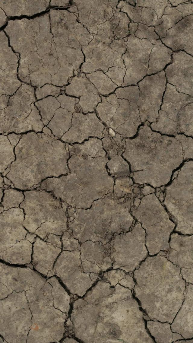Dry, Cracked Earth