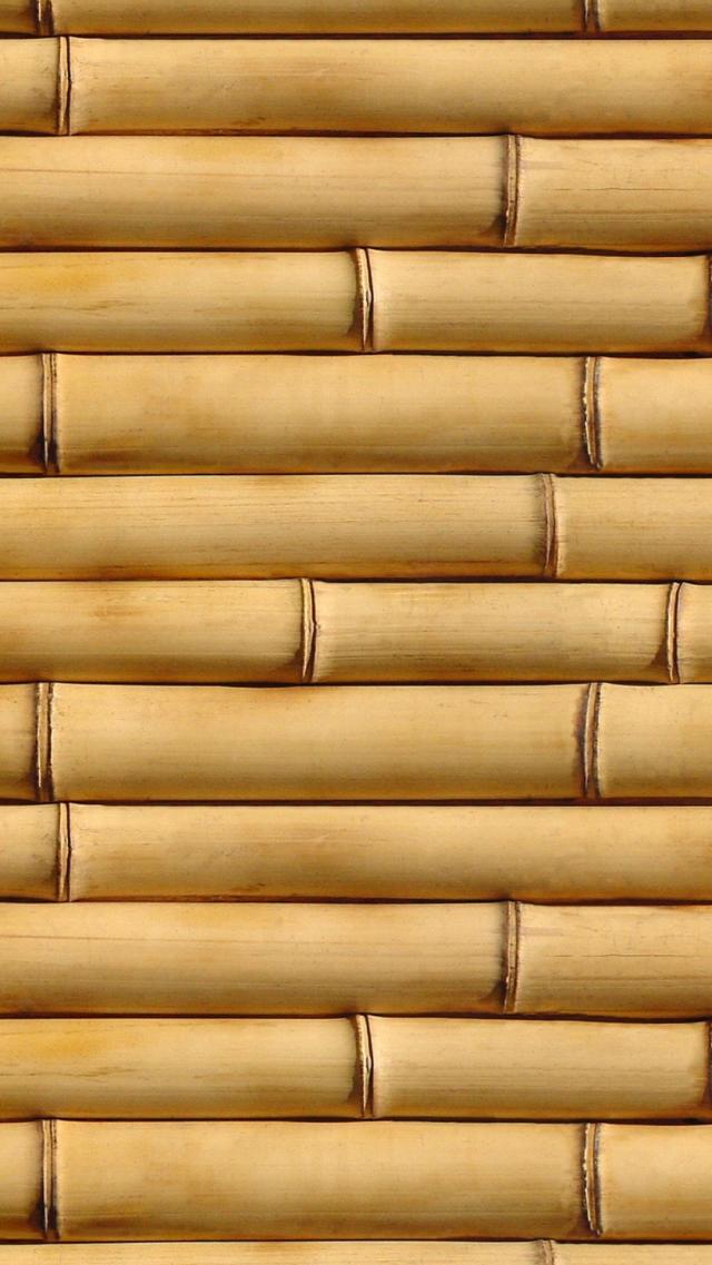 Bamboo Galore