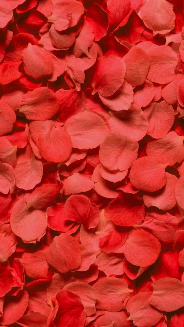 Rose Petals