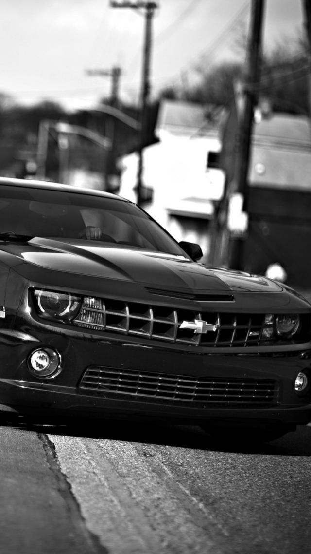 ChevroletCamaro(MonochromePhoto)