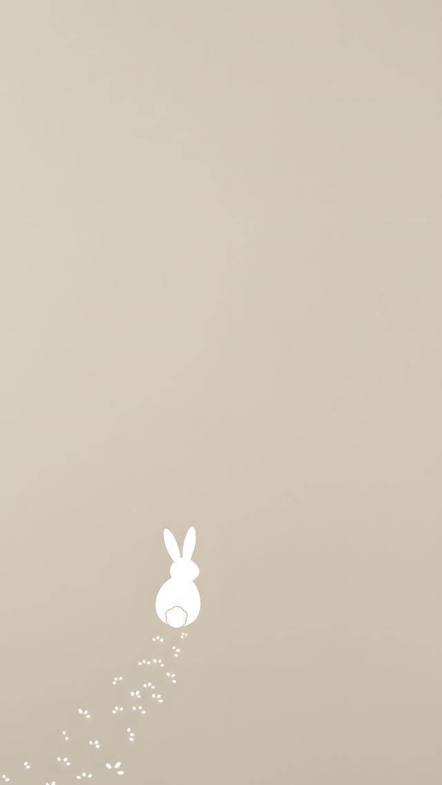Rabbit - Minimalist