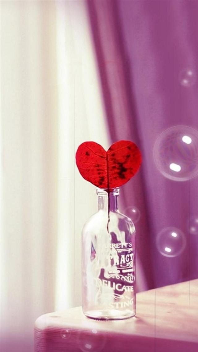 Little Bottle of the Heart