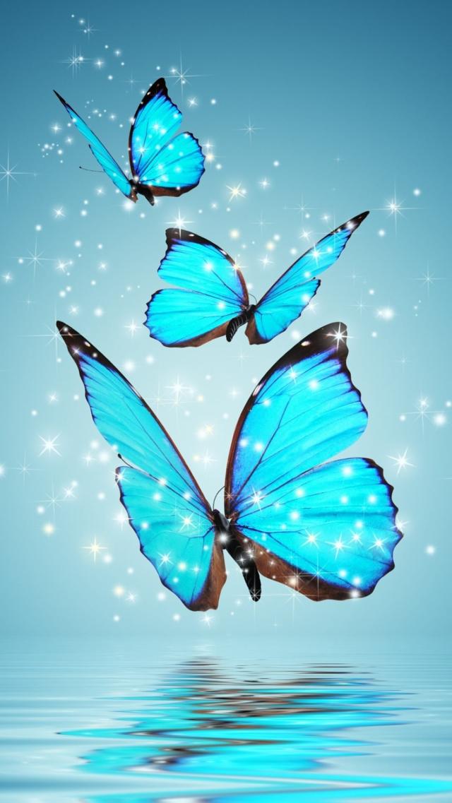 Blue Butterfly Like a Gem