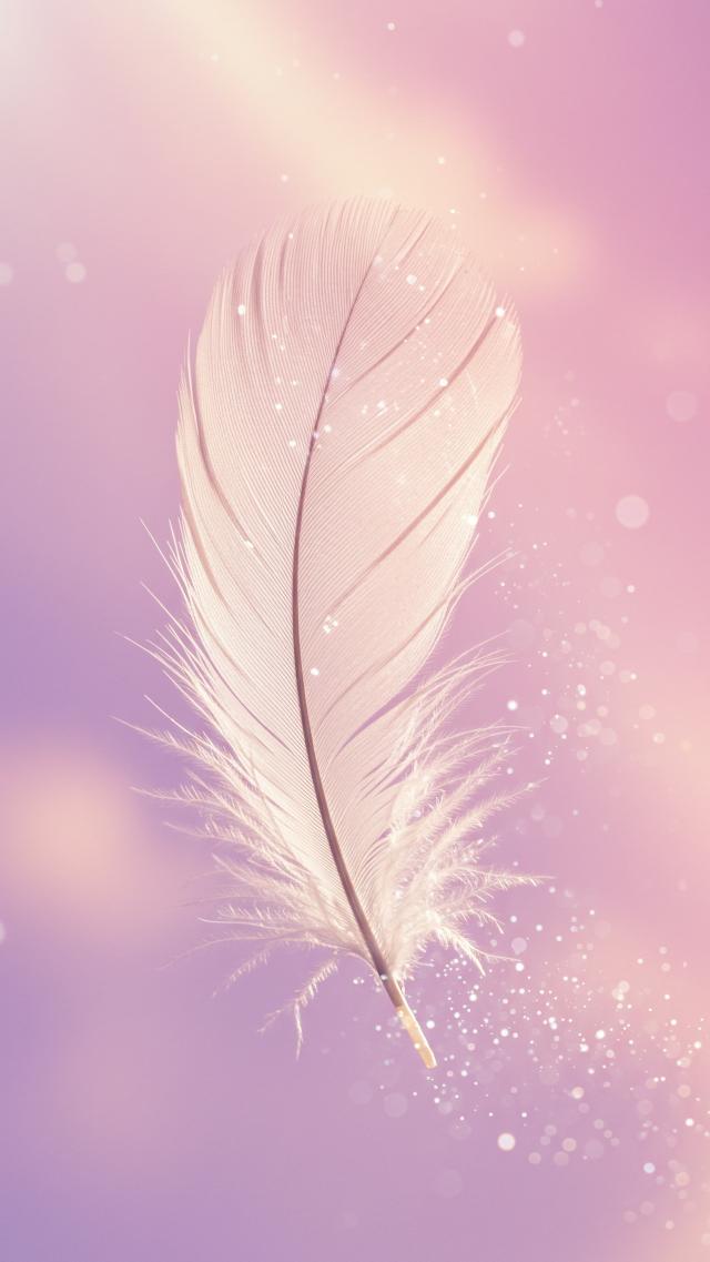 White Wings That Accomplish Love