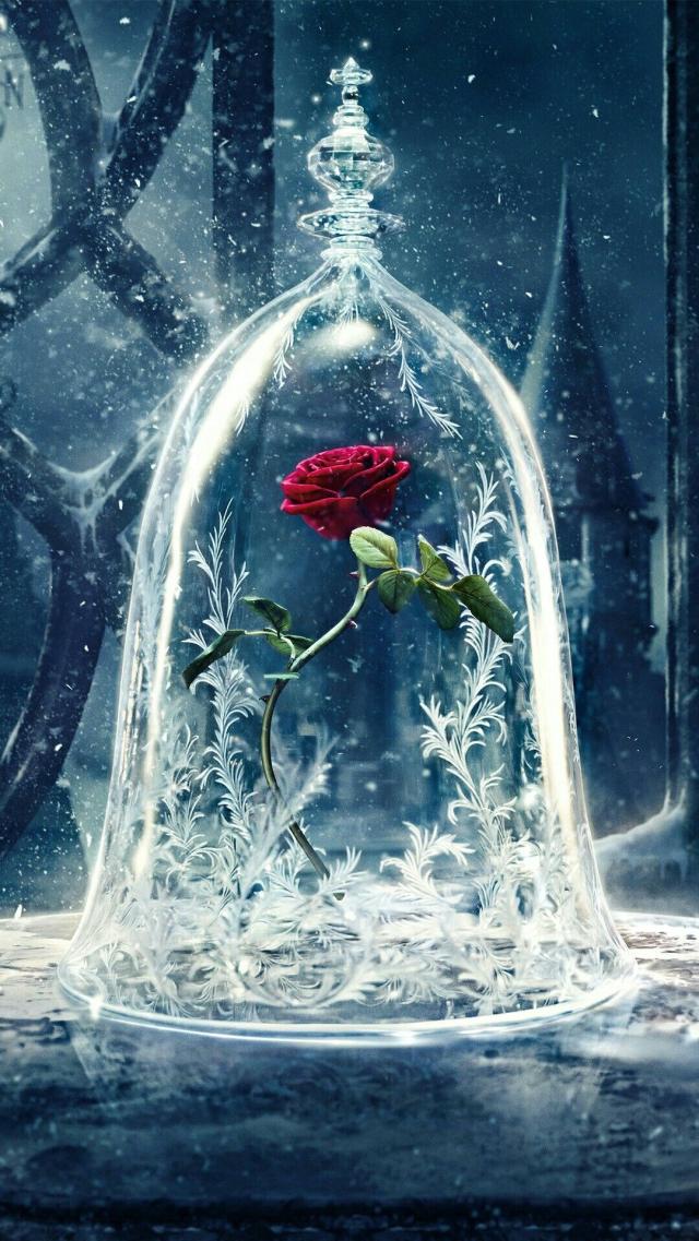 Rose: Beauty and the Beast
