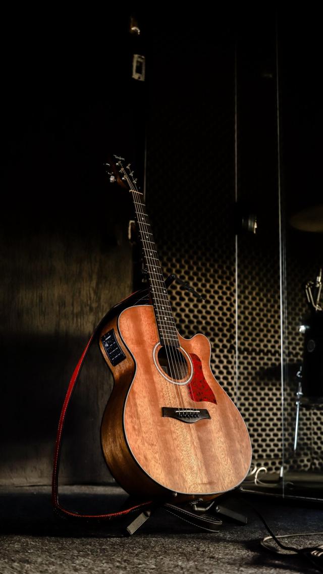 Acoustic Guitar