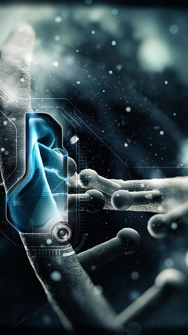 Crisis DNA: Lonely Island