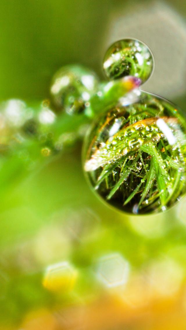 Glowing Water Droplets