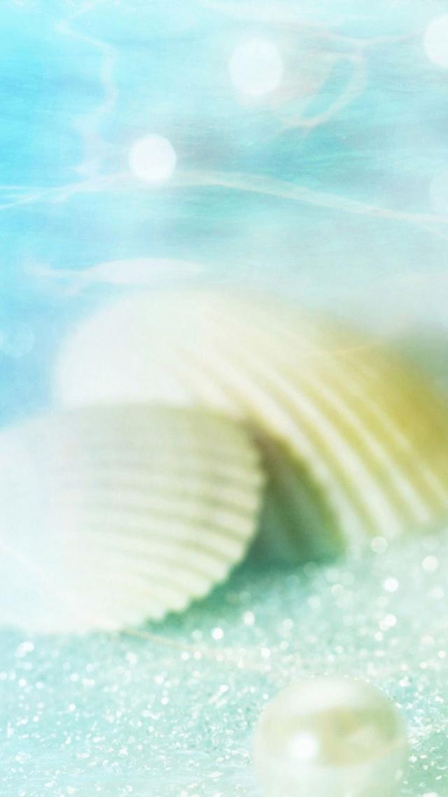 Seashells by the Seaside