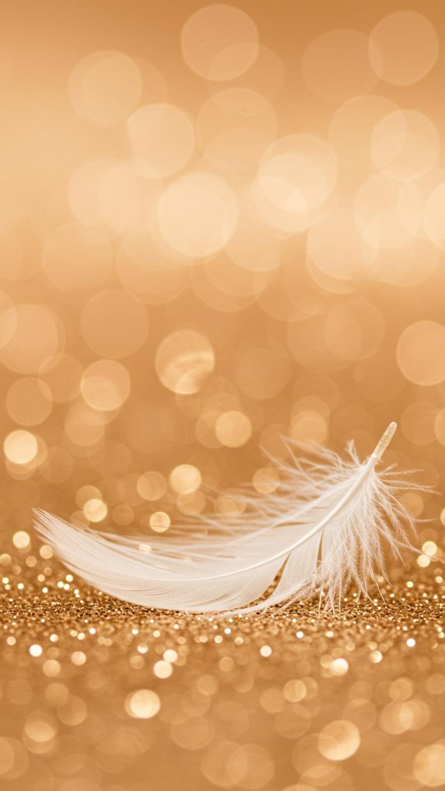 纯白的羽翼 高清壁纸