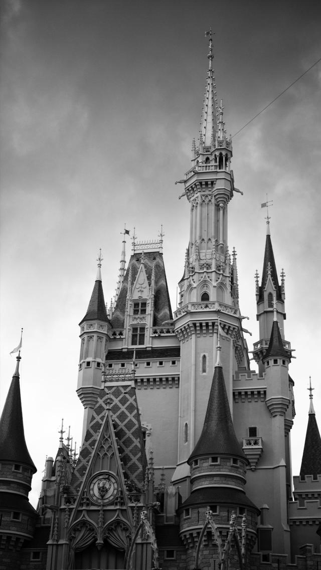 Cinderella Castle Monochrome Photo