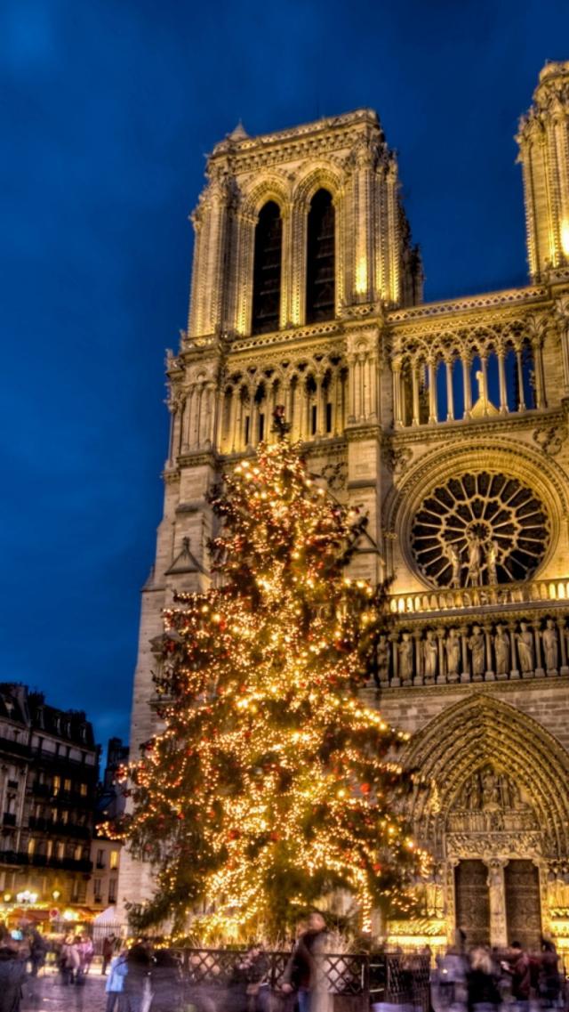 Notre Dame Cathedral in Paris