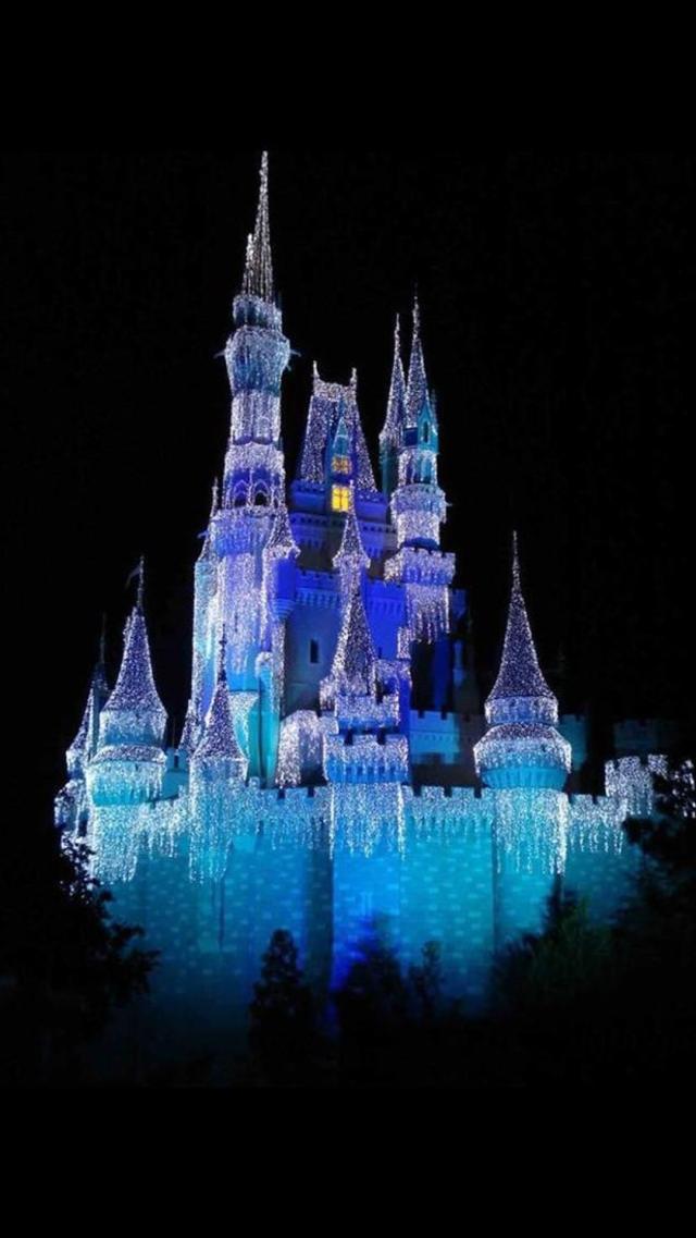 Cinderella Castle Lit Up by Lights