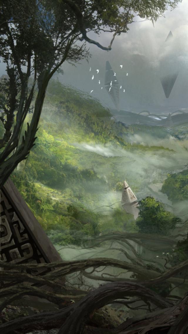 Gazing into the Distance Over the Treetops