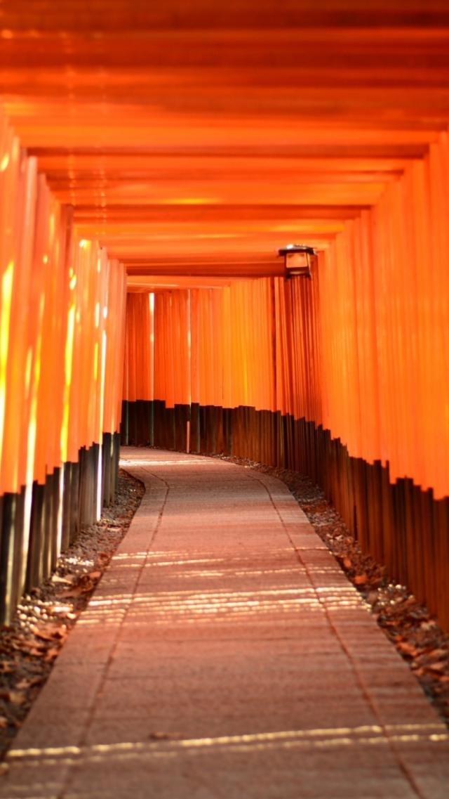 Countless Connected Torii Gates