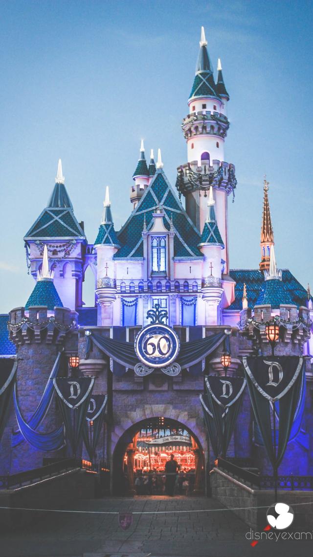 Castle of the Sleeping Beauty in the Forest