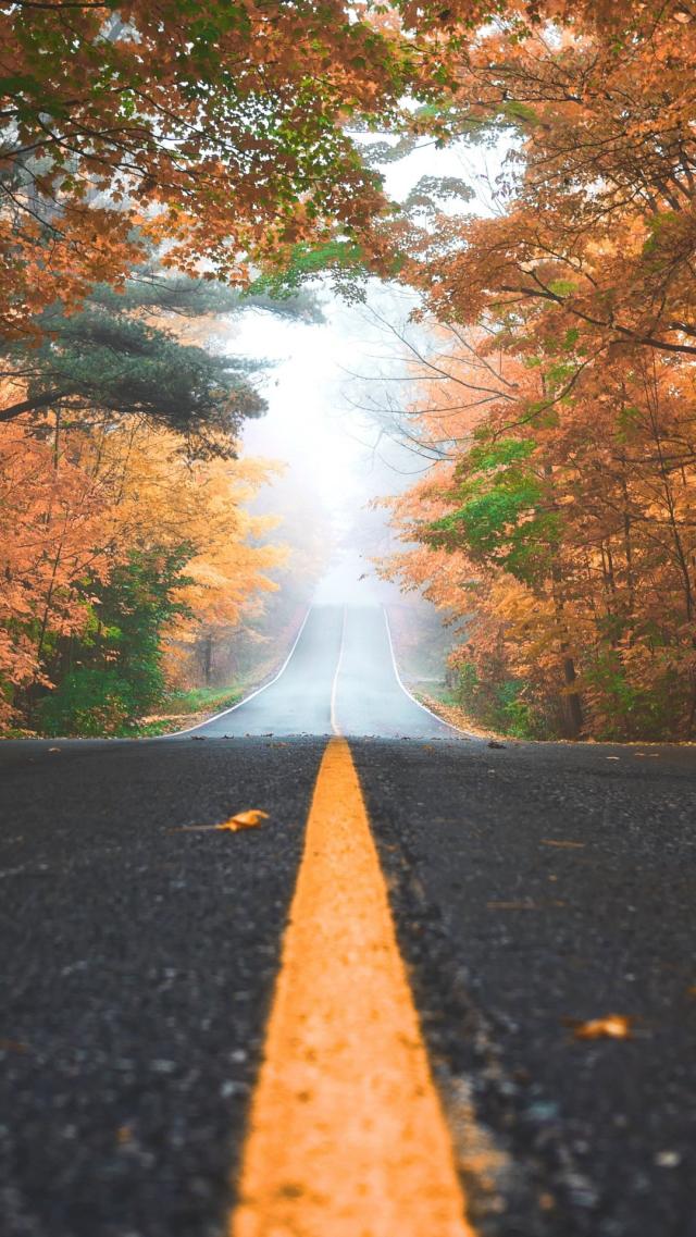 Autumn Road