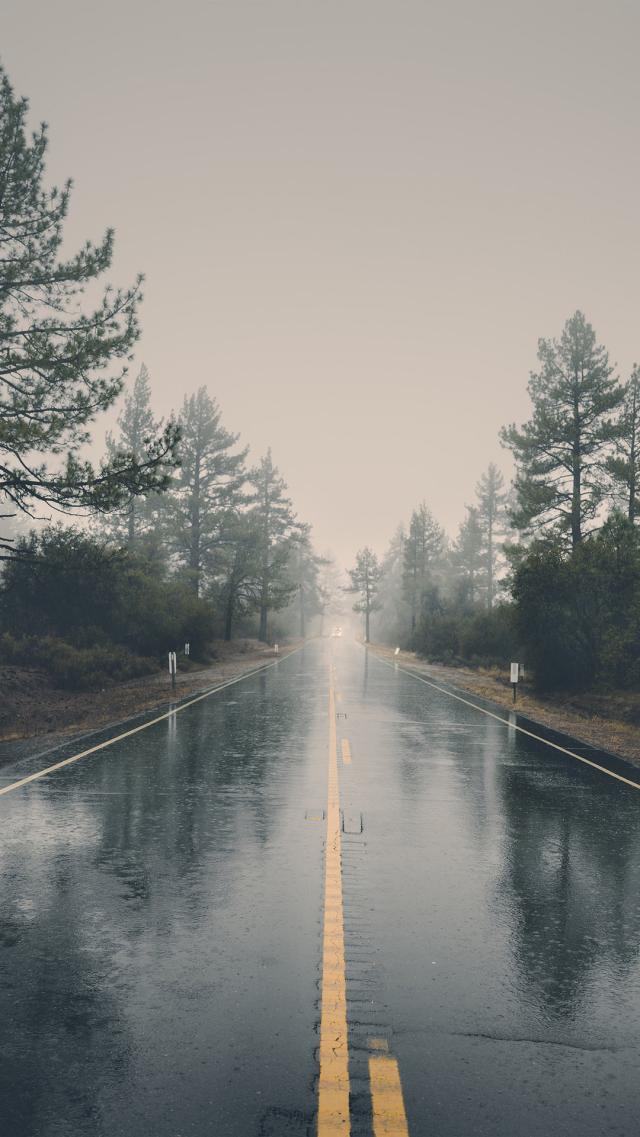 Road in the Rain