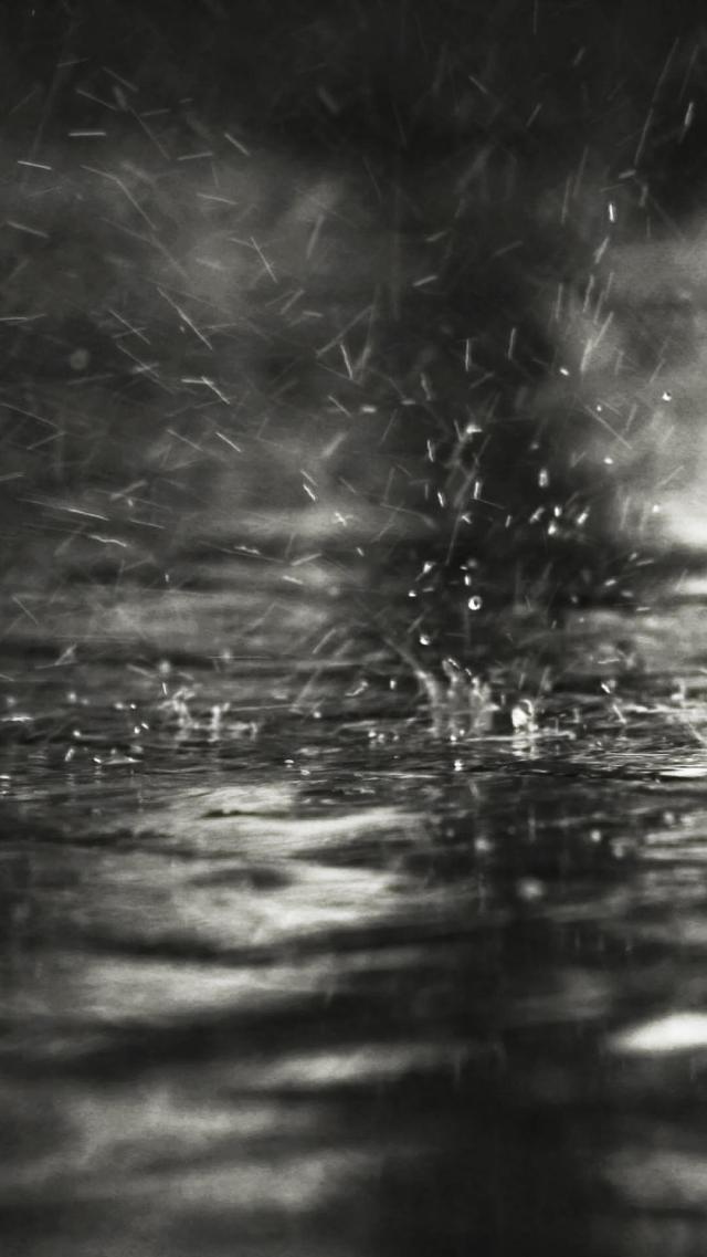 Rain - Monochrome