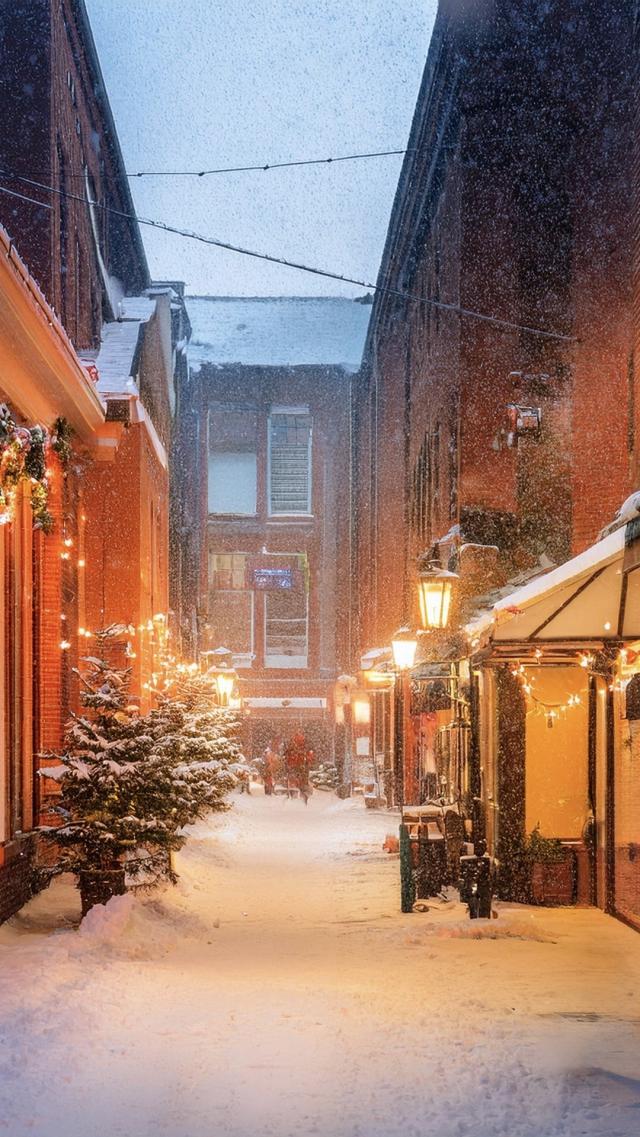 Scenery of a Snowy Night