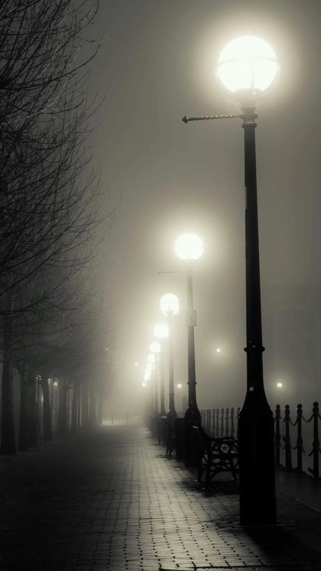 Night Road in the Mist