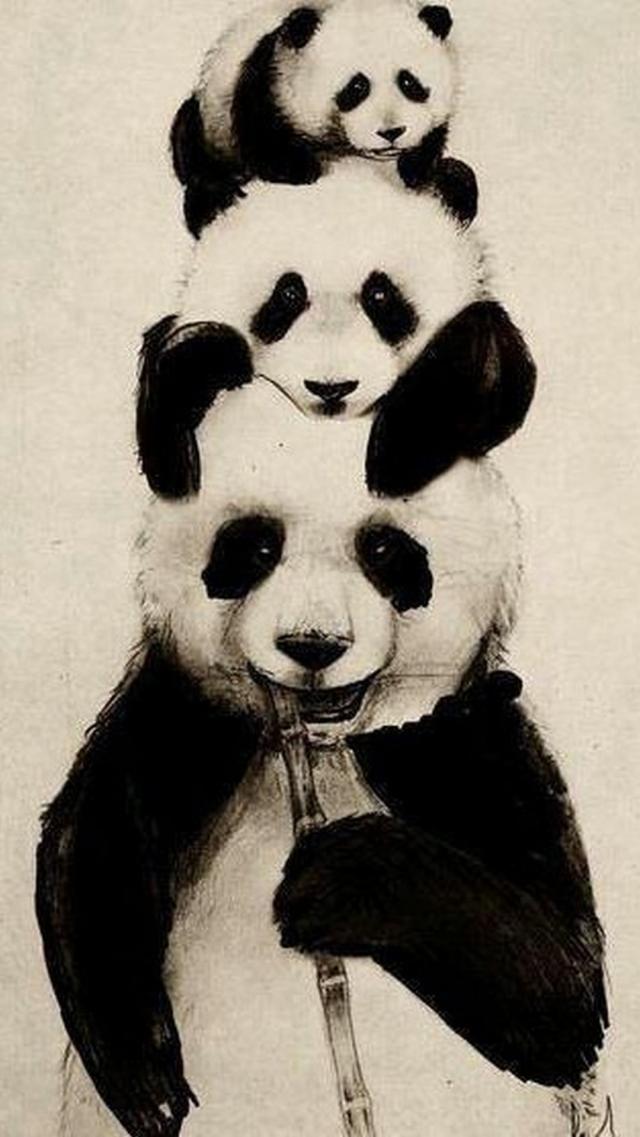 Pandas