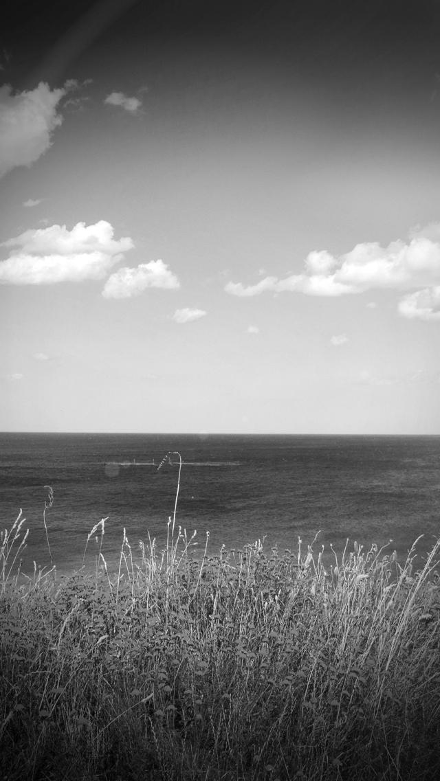 Monochrome Horizontal Line