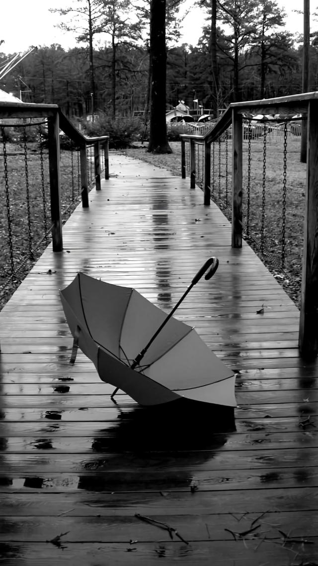 Black and White Photo of an Umbrella
