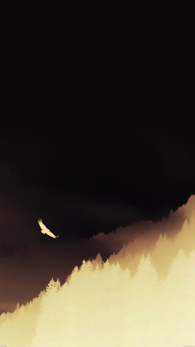 Silhouette of the Forest