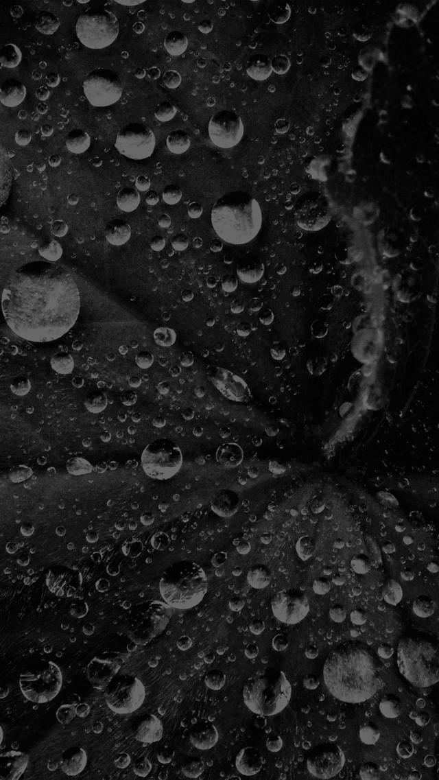 Droplet - Monochrome