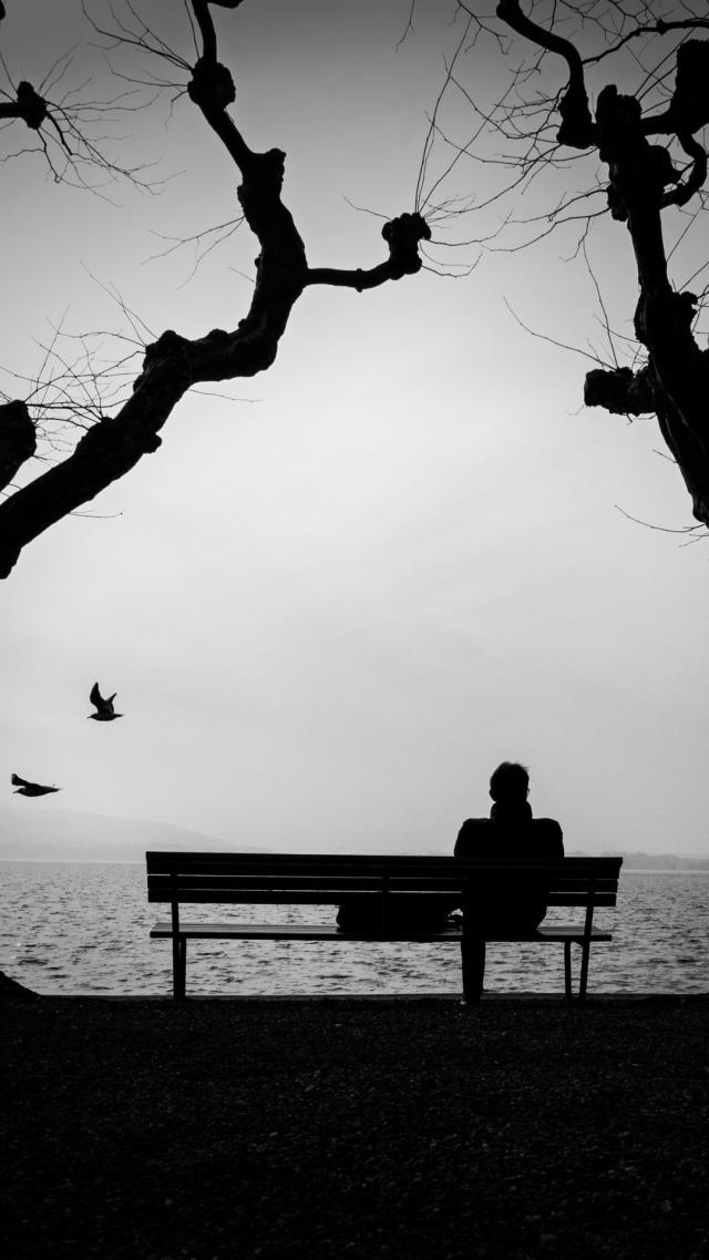 Bench by the Waterside