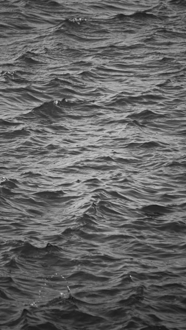 Ocean Monochrome Photo