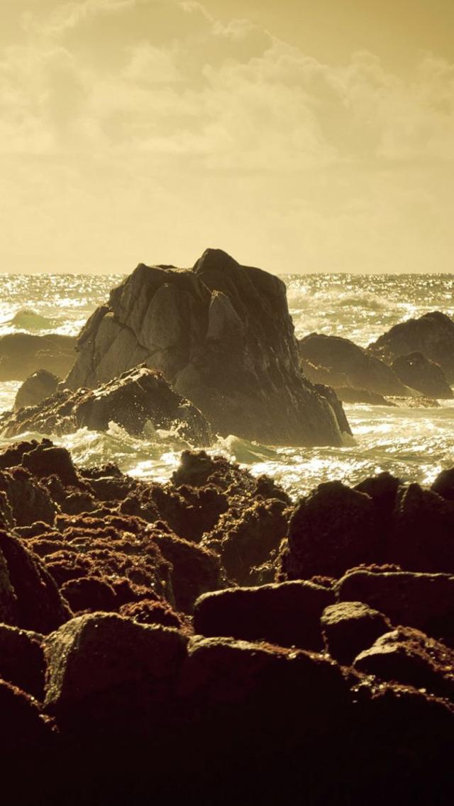 海—棕褐色照片