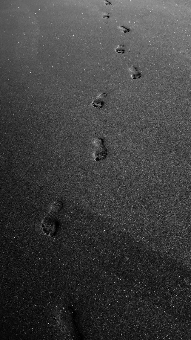 Footprints in the Desert