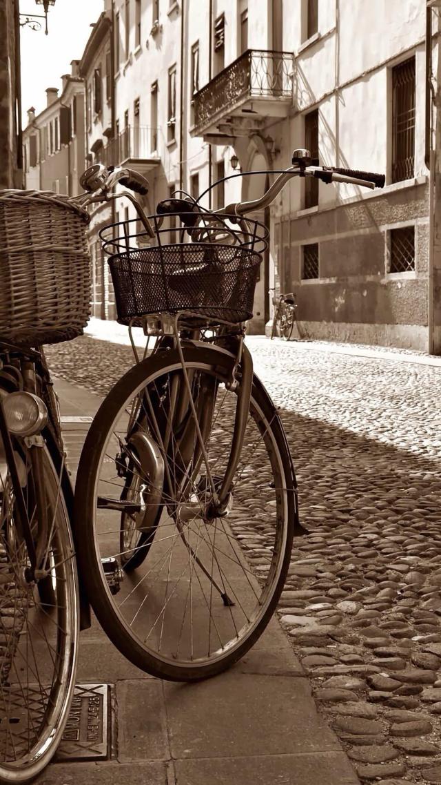 Sepia-toned Bicycle Photo
