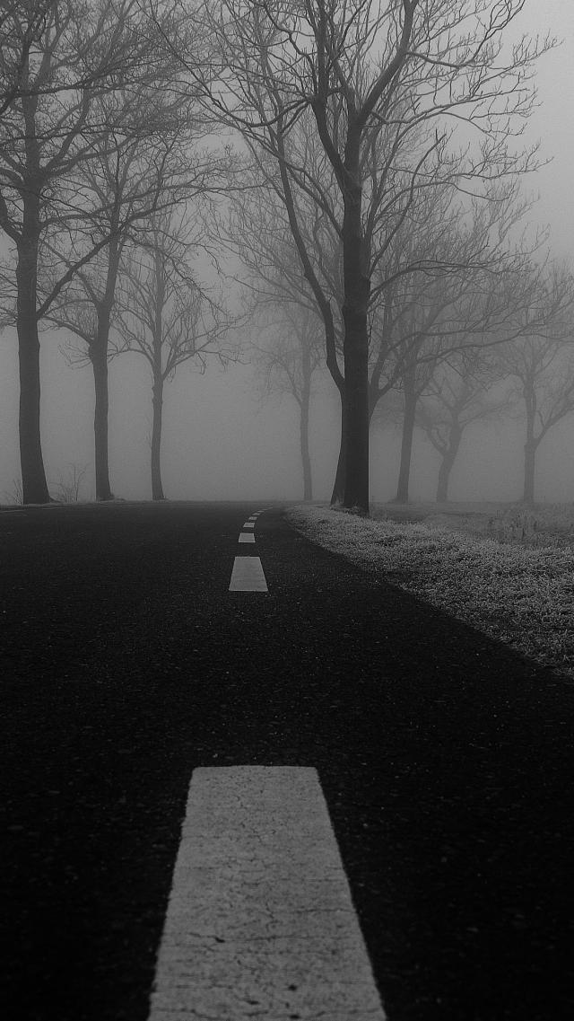 Road - Black and White Photo